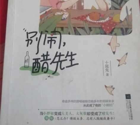 这本书挺好看的不知道是不是正版但保存的还行...
