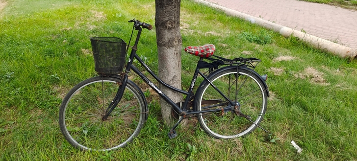 自行车，骑着很轻便，本地自取.懂的入.