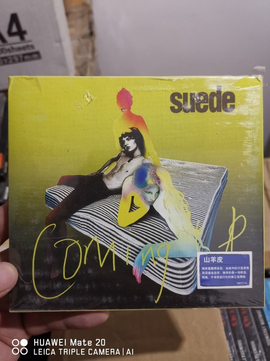 英伦摇滚大牌Suede山羊皮乐队，蓝标碟，...