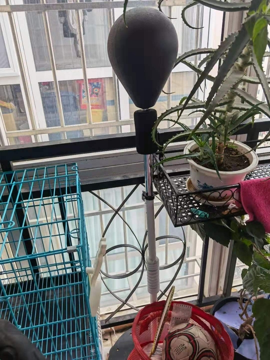 拳击训练靶，当时百荣买的，用过几次，三百多...