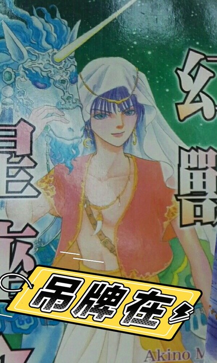 台版卡片 幻兽星座14张