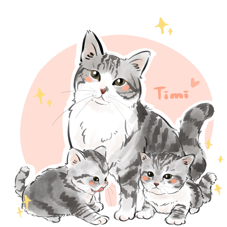 白菜约稿宠物头像Q版手绘猫咪卡通照片转手绘