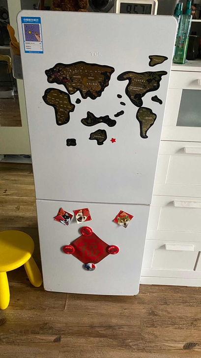 双门冰箱 TCL BCD-163KF1