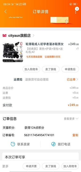 轮滑鞋成人初学者溜冰鞋男女直排轮成年闪光滑...