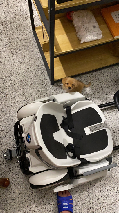 全新ninebot小米九号同款 卡丁车平衡...