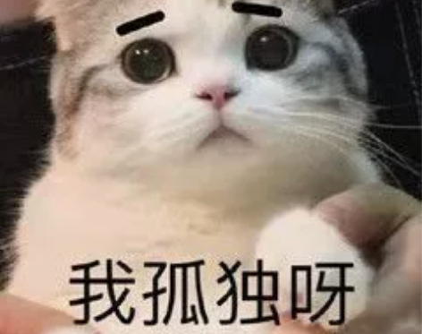 专拍链接 感兴趣的话点“我想要”和我私聊吧～