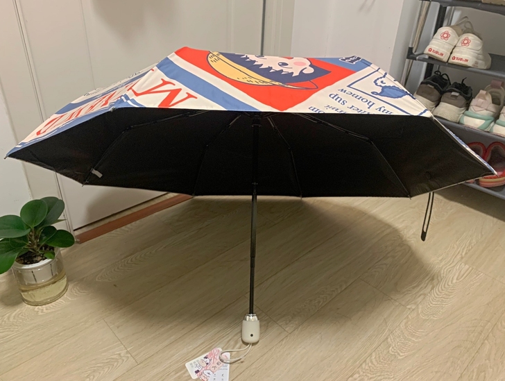 学生雨伞小巧便捷樱桃小丸子太阳伞ins高颜...