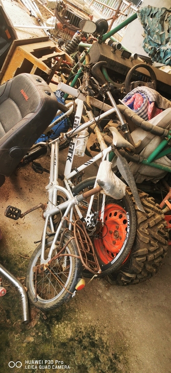 自行车两个,放了很久,大的是变速的,小的不...