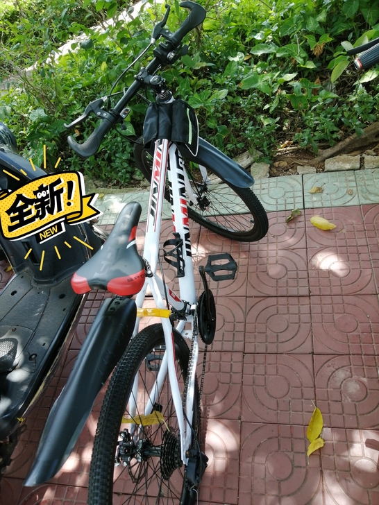 27速山地车，双碟刹，6月份入手，因学校地...