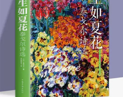 全新正版生如夏花 泰戈尔诗中英双语彩图外国...