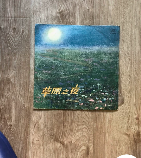 古董唱片-黑胶/《草原之夜》/电影歌曲/1...