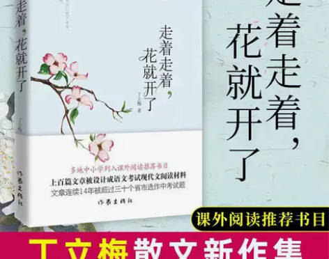 走着走着花就开了 丁立梅的新书中国现当代随...