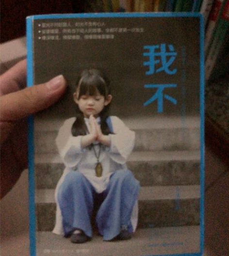 我不大冰著2017年励志暖心随笔青春现当代...