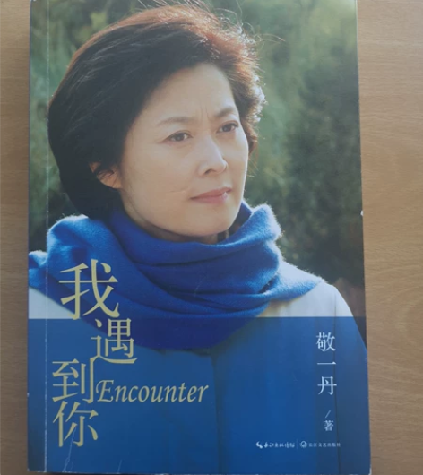 包邮正版图书我遇到你敬一丹 品相如图。售出...