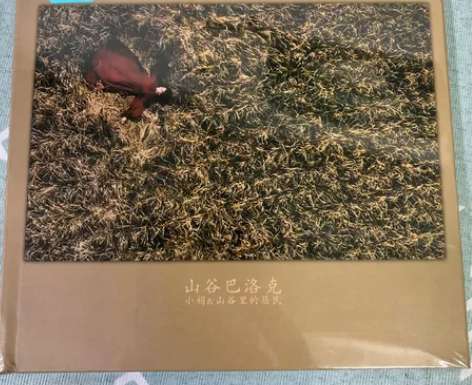 一张无损黑胶 小娟山谷里的居民之《山谷巴洛...