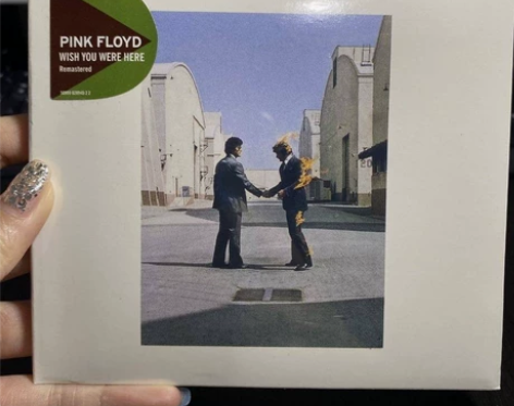 平克弗洛伊德 Pink Floyd Wis...