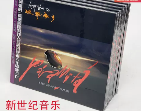 风潮TCD5258何训田 朱哲琴 波罗密多...