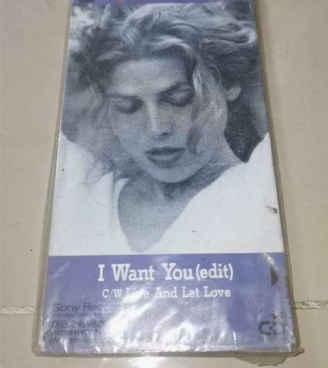 bob Dylan 鲍勃.迪伦，sophi...