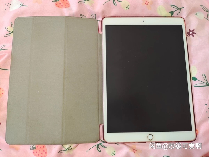 ipad  pro10.5