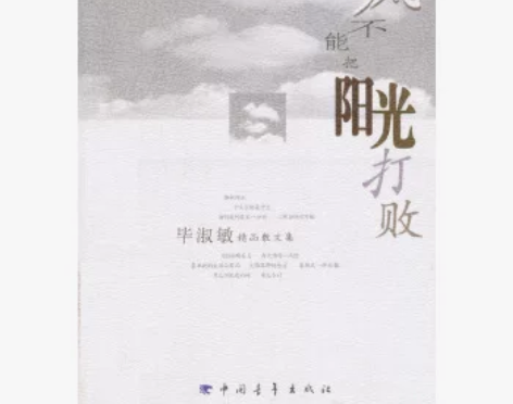 二手包邮【二手95新】风不能把阳光打败毕淑...