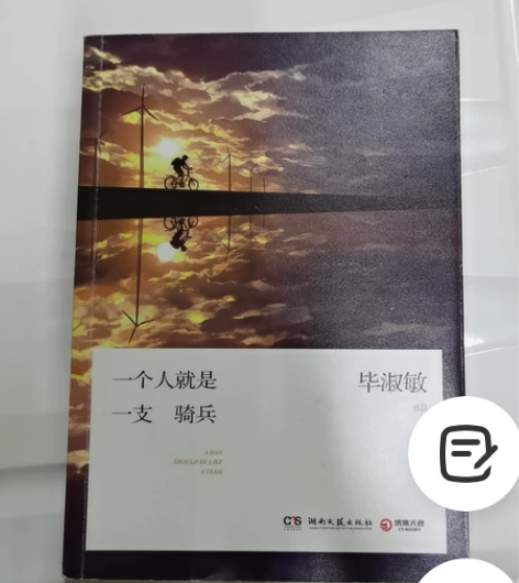 毕淑敏《一个人就是一支骑兵》 978754...