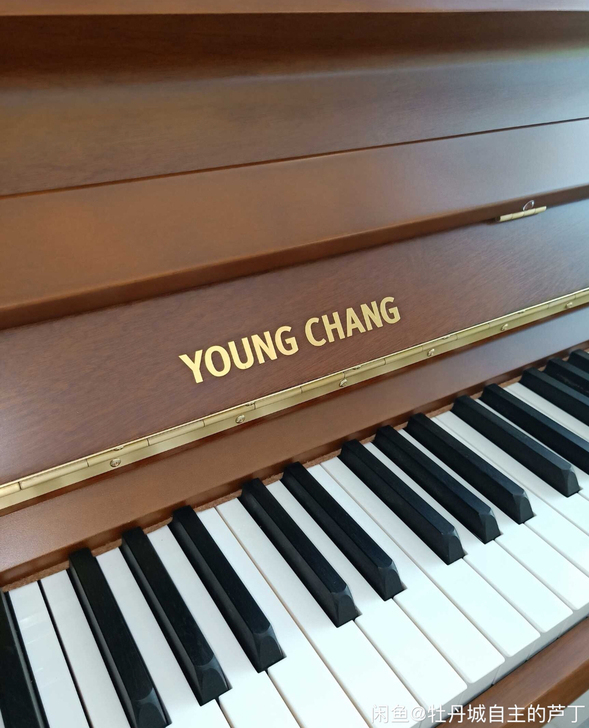 YOUNG CHANG u-121钢琴家用...