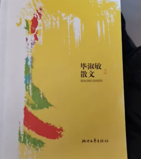 毕淑敏散文 浙江文学出版社 二手商品不退不...