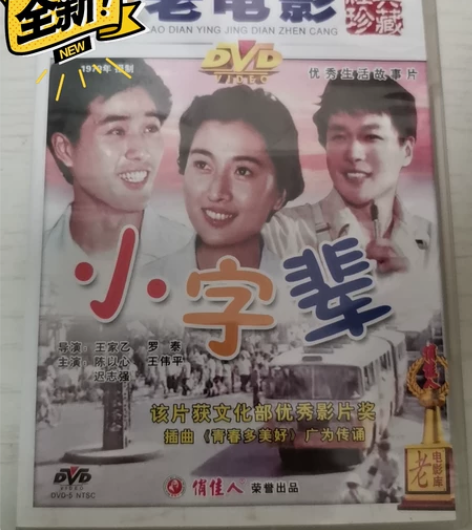 电影小字辈DVD，全新仅拆，该片获文化部优...