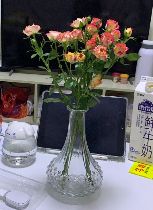 入手一个月的花瓶