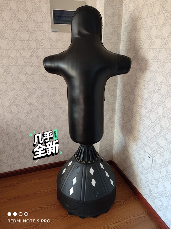 拳击台，拳击练习工具，九九新，无破损，哈尔...