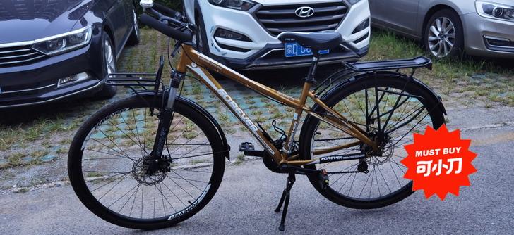 永久牌700 CC，旅行自行车，公路旅行自...