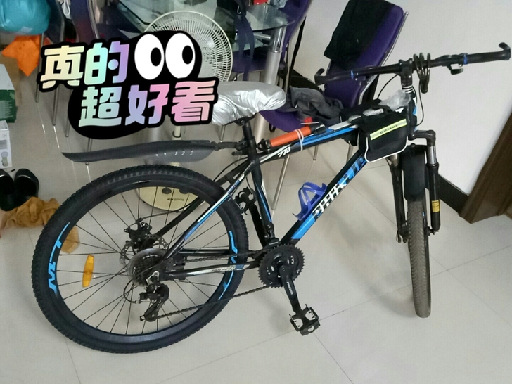 新入手没骑几次，腰疼病犯了，闲置了，卖给喜...