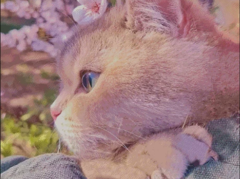 桃花小猫十字绣2022新款手工客厅餐厅系列...