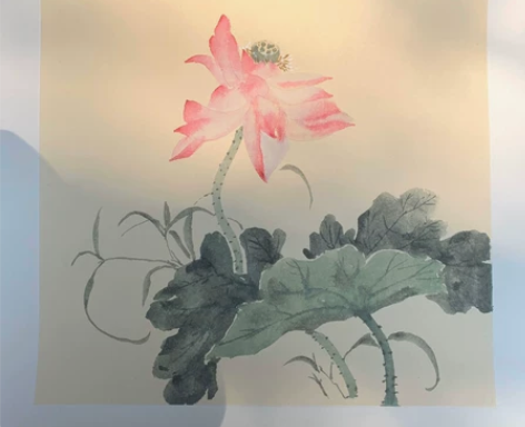 #国画##没骨# 工笔小品 均为自己绘画，...