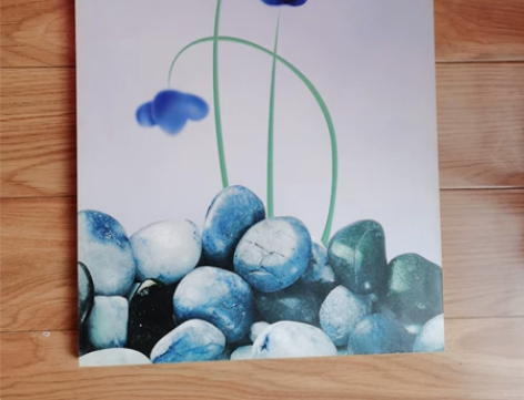 简约无框画50*35cm 感兴趣的话点“我...