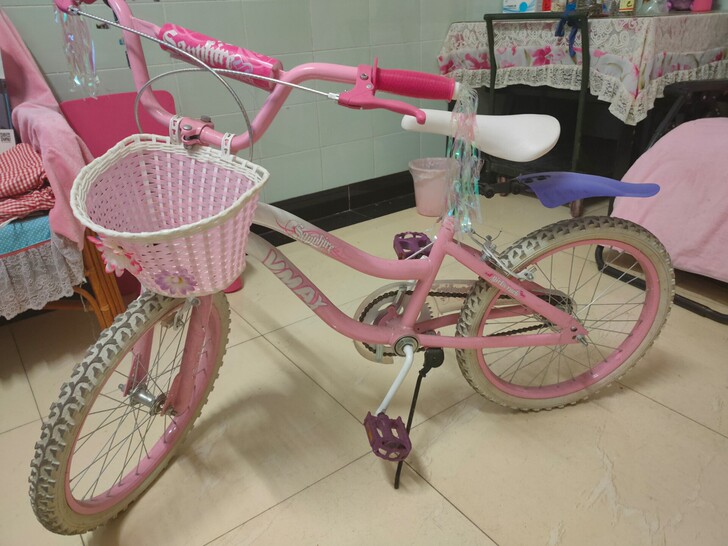 20寸儿童自行车女孩公主款没骑几次，淘宝买...