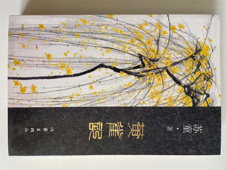 苏童《黄雀记》