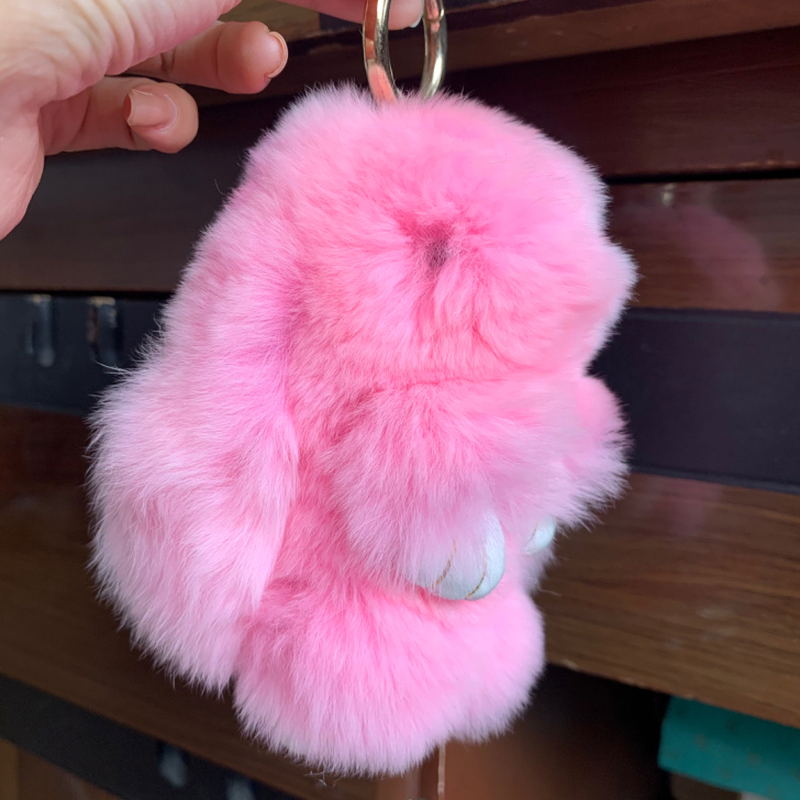 兔子挂件,线下购入。