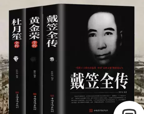 杜月笙全传传戴笠黄金荣民国历史人物黑道小说...