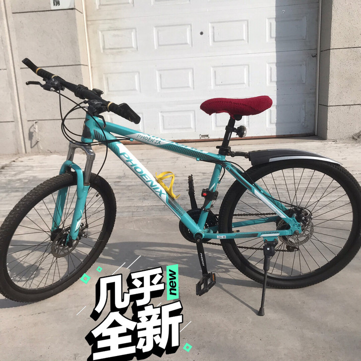 凤凰牌成人山地变速自行车