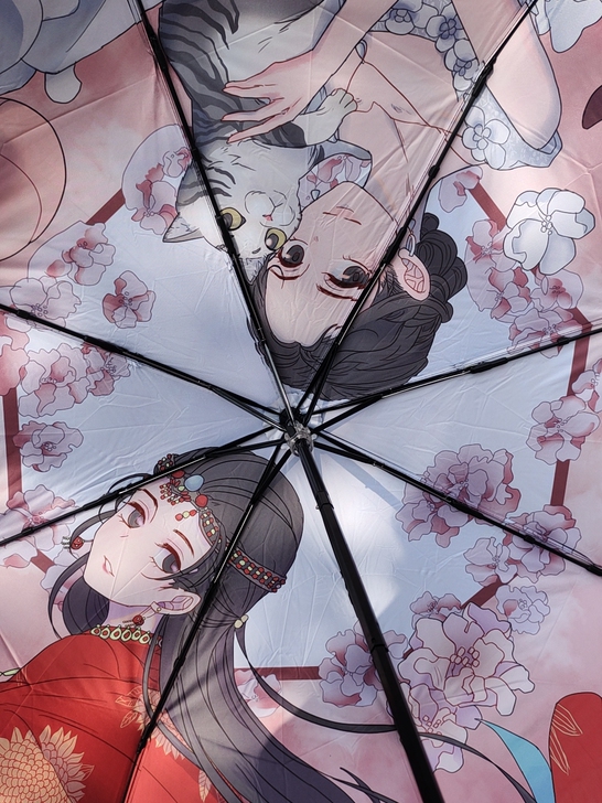 彭小苒后援会礼包的雨伞 仅撑开拍照 其他都...