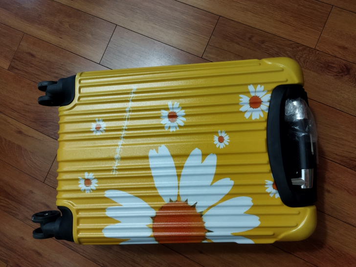 行李箱女学生拉杆男密码旅行皮箱子大容量静音...