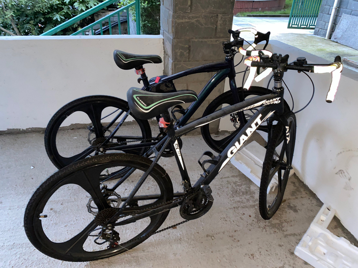 街道自行车，跑山自行车，一辆是变色龙，一辆...