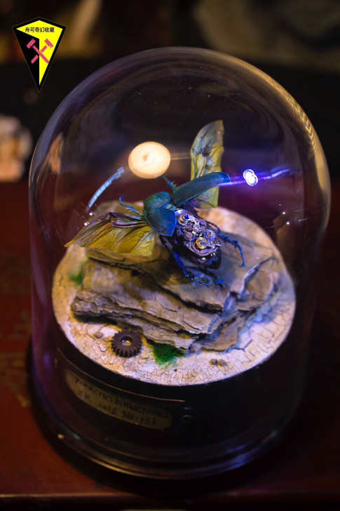 蒸汽昆虫 朋克昆虫 机械昆虫标本 昆虫舟可...