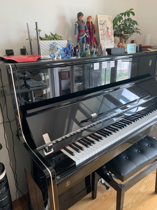 入门级钢琴，性价比非常高～保养很好，没有损...