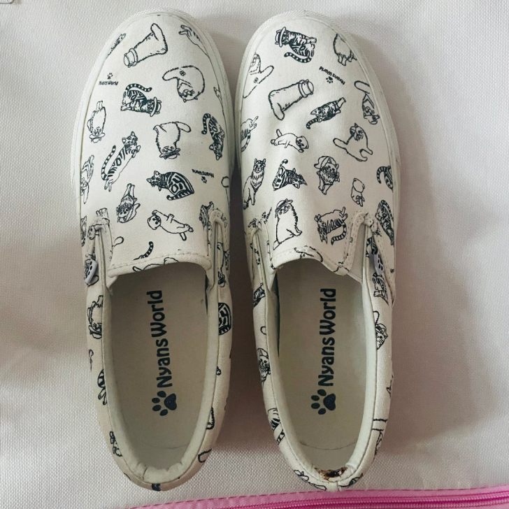 板鞋  37码  仅试穿