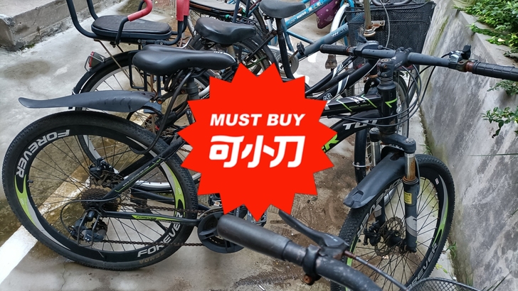 永久山地车,车况完好,买了四年多现在换电动...