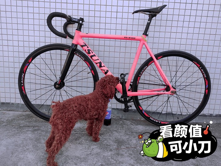 8成新海啸死飞，26寸左右