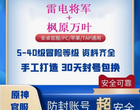 （双改雷电将军万叶组合账号）原神雷电万叶角...