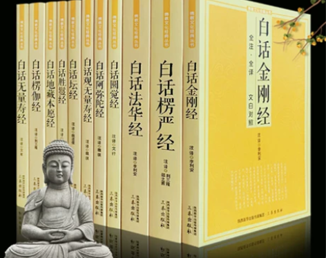 佛学经典书籍全套11册 原文注释译文白对照...
